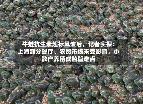 牛蛙抗生素超标风波后	，记者实探：上海部分餐厅、农贸市场未受影响，小散户养殖成监管难点-第3张图片
