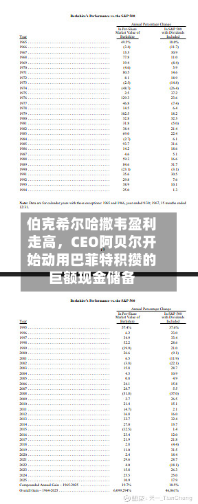 伯克希尔哈撒韦盈利走高，CEO阿贝尔开始动用巴菲特积攒的巨额现金储备-第1张图片