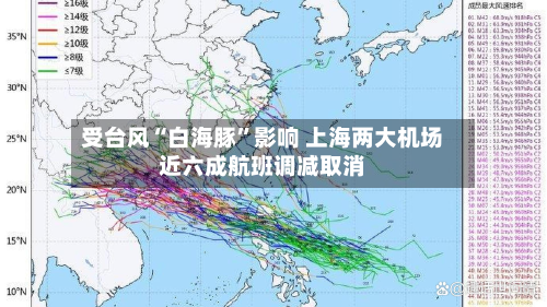 受台风“白海豚”影响 上海两大机场近六成航班调减取消-第2张图片