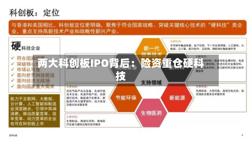 两大科创板IPO背后:险资重仓硬科技-第1张图片