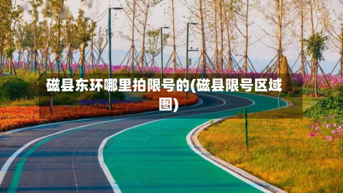 磁县东环哪里拍限号的(磁县限号区域图)-第1张图片