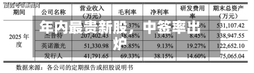 年内最贵新股	，中签率出炉-第3张图片