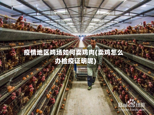 疫情地区鸡场如何卖鸡肉(卖鸡怎么办检疫证明呢)-第1张图片