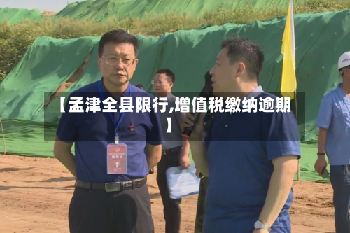 【孟津全县限行,增值税缴纳逾期】-第1张图片
