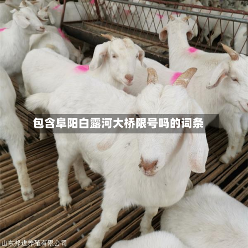 包含阜阳白露河大桥限号吗的词条-第1张图片