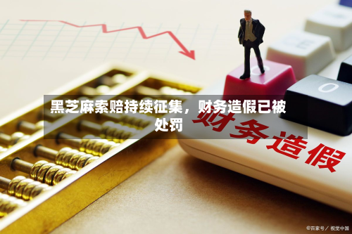 黑芝麻索赔持续征集，财务造假已被处罚-第3张图片