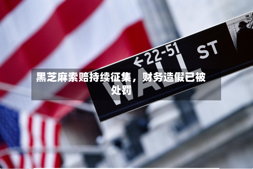 黑芝麻索赔持续征集，财务造假已被处罚-第2张图片
