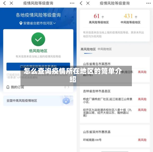 怎么查询疫情所在地区的简单介绍-第1张图片