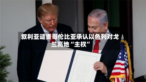 叙利亚谴责哥伦比亚承认以色列对戈兰高地“主权”-第3张图片