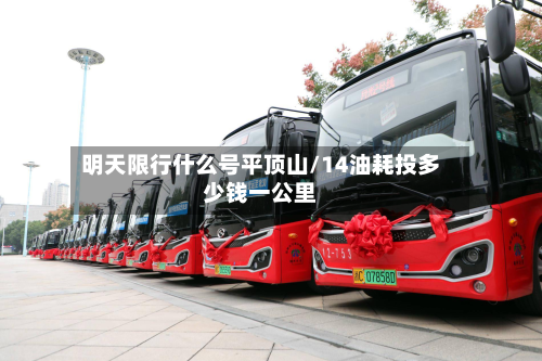 明天限行什么号平顶山/14油耗投多少钱一公里-第1张图片