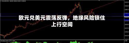 欧元兑美元震荡反弹，地缘风险锁住上行空间-第2张图片
