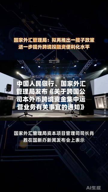 中国人民银行	、国家外汇管理局发布《关于跨国公司本外币跨境资金集中运营业务有关事宜的通知》-第3张图片