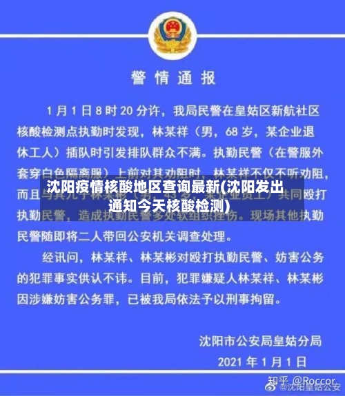 沈阳疫情核酸地区查询最新(沈阳发出通知今天核酸检测)-第1张图片