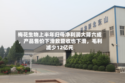 梅花生物上半年归母净利润大降六成	，产品售价下滑致营收也下滑，毛利减少12亿元-第2张图片