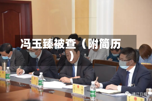 冯玉臻被查(附简历)-第2张图片