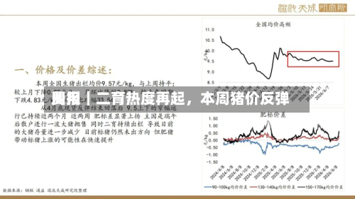 费用周报｜二育热度再起，本周猪价反弹-第2张图片