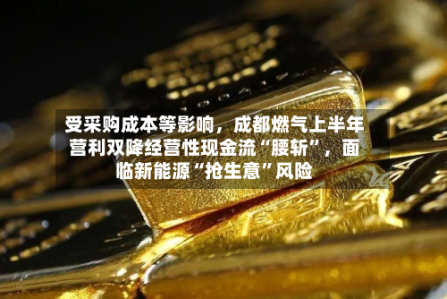 受采购成本等影响，成都燃气上半年营利双降经营性现金流“腰斩”	，面临新能源“抢生意”风险-第2张图片