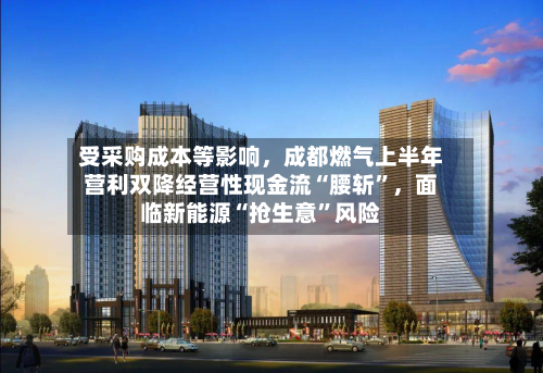 受采购成本等影响	，成都燃气上半年营利双降经营性现金流“腰斩	”，面临新能源“抢生意”风险-第3张图片