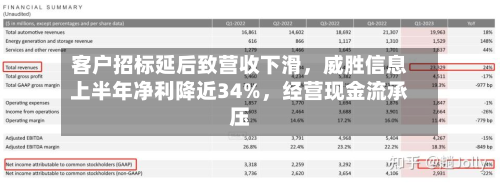 客户招标延后致营收下滑，威胜信息上半年净利降近34%	，经营现金流承压-第3张图片