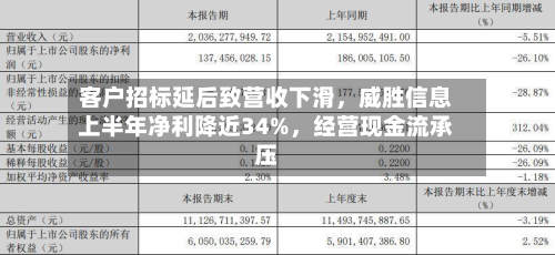 客户招标延后致营收下滑，威胜信息上半年净利降近34%	，经营现金流承压-第2张图片