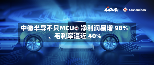 中微半导不只MCU：净利润暴增 98%、毛利率逼近 40%-第3张图片
