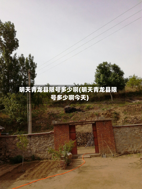 明天青龙县限号多少啊(明天青龙县限号多少啊今天)-第1张图片