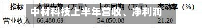 中材科技上半年营收	、净利润均增逾20%-第2张图片