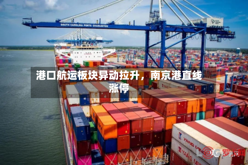 港口航运板块异动拉升，南京港直线涨停-第2张图片
