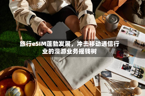 旅行eSIM蓬勃发展，冲击移动通信行业的漫游业务摇钱树-第2张图片