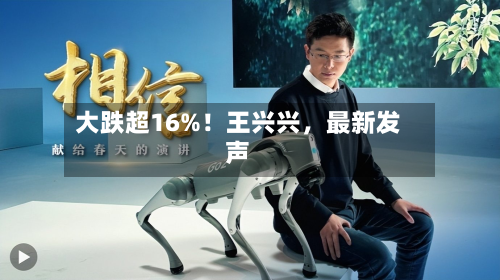 大跌超16%！王兴兴，最新发声-第3张图片