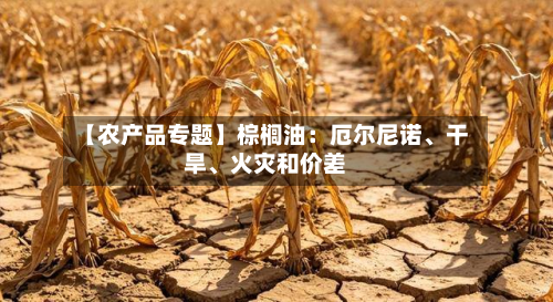 【农产品专题】棕榈油：厄尔尼诺、干旱、火灾和价差-第1张图片