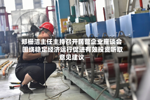 郑栅洁主任主持召开民营企业座谈会 围绕稳定经济运行促进有效投资听取意见建议-第1张图片