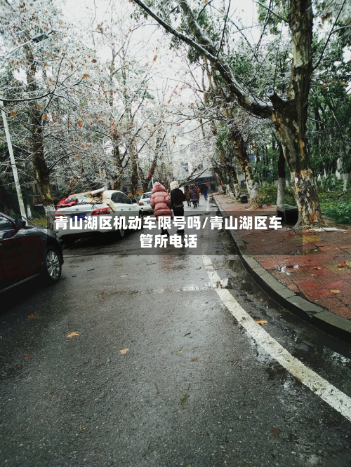 青山湖区机动车限号吗/青山湖区车管所电话-第1张图片