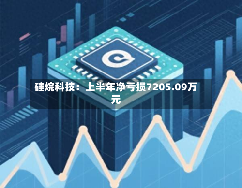 硅烷科技:上半年净亏损7205.09万元-第3张图片