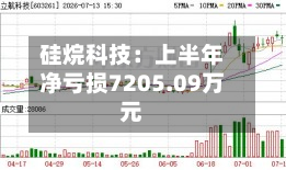 硅烷科技:上半年净亏损7205.09万元-第2张图片