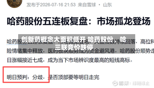 创新药概念大面积低开 哈药股份	、哈三联竞价跌停-第2张图片