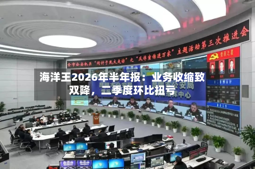 海洋王2026年半年报：业务收缩致双降，二季度环比扭亏-第3张图片