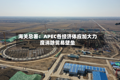 海关总署:APEC各经济体应加大力度消除贸易壁垒-第2张图片