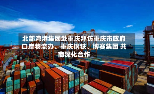 北部湾港集团赴重庆拜访重庆市政府口岸物流办、重庆钢铁	、博赛集团 共商深化合作-第2张图片