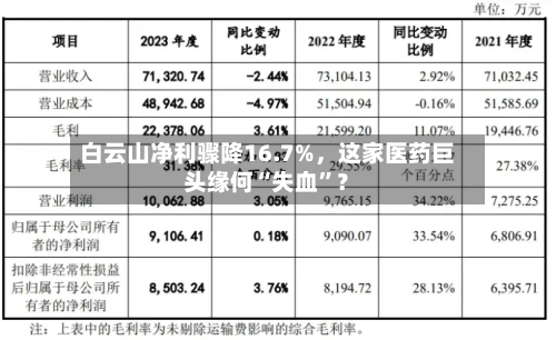 白云山净利骤降16.7%	，这家医药巨头缘何“失血”？-第2张图片