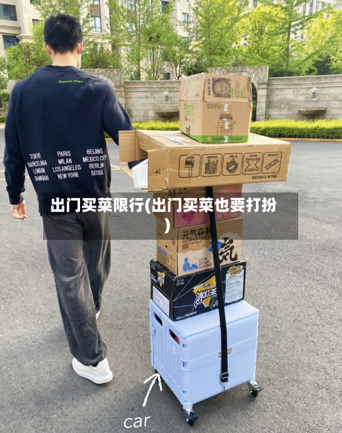 出门买菜限行(出门买菜也要打扮)-第3张图片