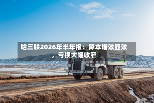 哈三联2026年半年报：降本增效显效，亏损大幅收窄-第3张图片