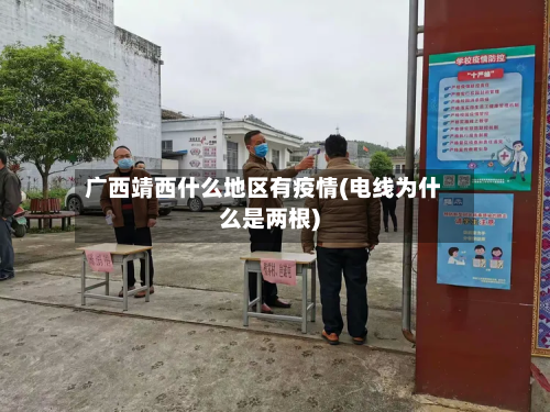 广西靖西什么地区有疫情(电线为什么是两根)-第1张图片