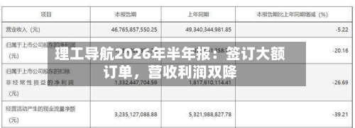 理工导航2026年半年报：签订大额订单	，营收利润双降-第3张图片