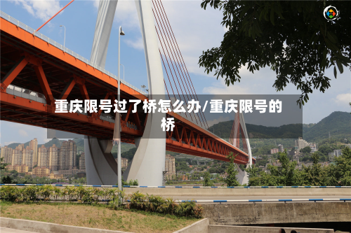 重庆限号过了桥怎么办/重庆限号的桥