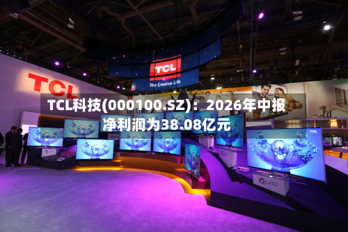TCL科技(000100.SZ):2026年中报净利润为38.08亿元-第3张图片