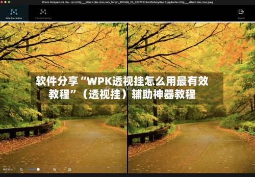 软件分享“WPK透视挂怎么用最有效教程	”（透视挂）辅助神器教程-第2张图片