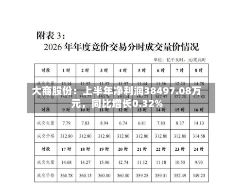 大商股份：上半年净利润38497.08万元	，同比增长0.32%-第3张图片