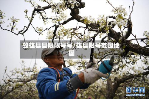 雄雄县县限限号号/雄县限号范围地图