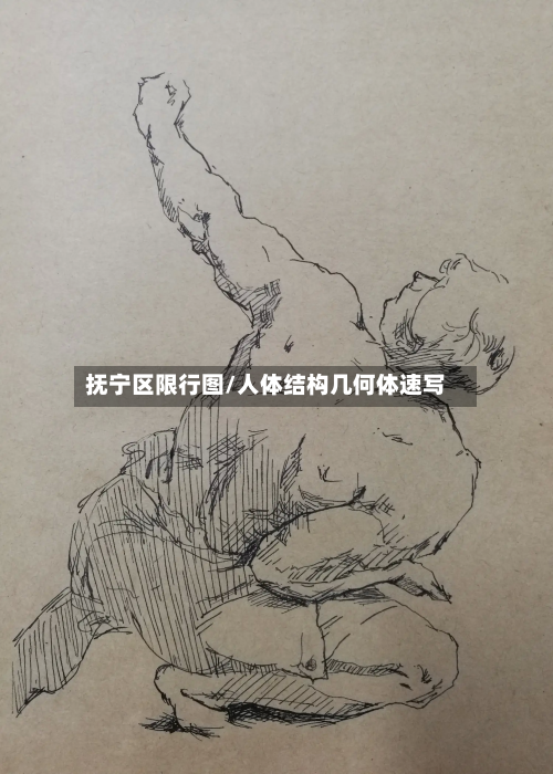 抚宁区限行图/人体结构几何体速写